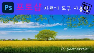 [포토샵강좌#120] 자르기 도구, 원근 자르기 도구 사용법