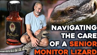 The Hard Truth About Elderly Reptile Care: Caring for a Senior Monitor Lizard