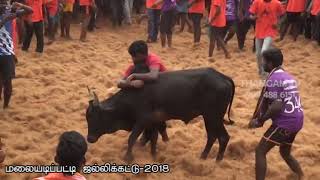 malaiyadipatty jallikattu-2018part 3 -8