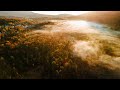 The Catskills, Upstate New York - 4K Cinematic Drone Reel