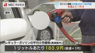 「新たな政策なければ値上がり続くか」高騰するガソリン3か月ぶりに1リットル180円台に【平家達史NBC論説委員解説】