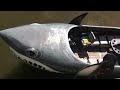 shark taxi