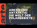 Arktis und Antarktis, die Welt der Polargebiete | Mit offenen Karten | ARTE