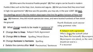 Revising and Editing Practice Instructions