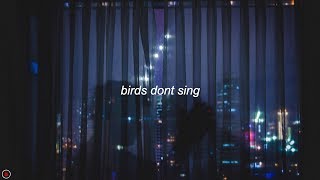 TV Girl - Birds Dont Sing (Lyrics)