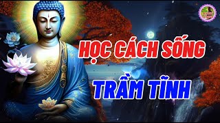 Học Cách Sống Trầm Tĩnh - Tâm Trí Giống Như Nước Khi Hỗn Loạn Khó Nhìn Thấu Khi Tâm Tĩnh Sẽ Rõ Ràng