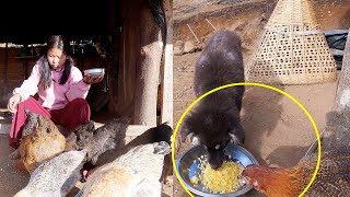 Anita feeding her Chicken \u0026 Puppy II Anita alone in the Shelter