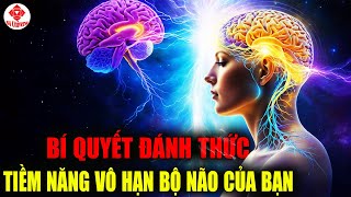 7 CÁCH MỞ KHÓA TẦN SỐ RUNG ĐỘNG SIÊU HÌNH - ĐỒNG BỘ BÁN CẦU NÃO | BA Universe