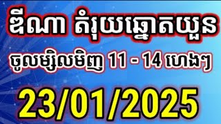 តំរុយឆ្នោតយួន | ថ្ងៃទី 23/01/2025 | ឌីណាឆ្នោតយួន