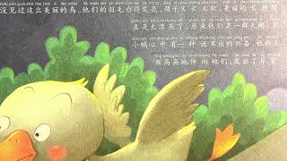 儿童绘本故事会【安徒生童话故事】醜小鸭/The Ugly Duckling/미운 오리 새끼，by#尤其開心#