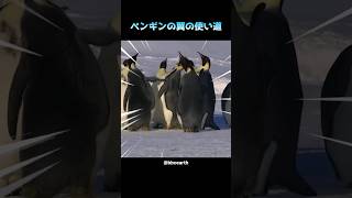 ペンギンの翼の使い道