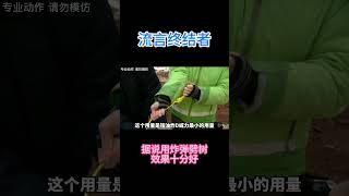 挑战利用炸弹来砍树！ #知识探索 #科学 #科普