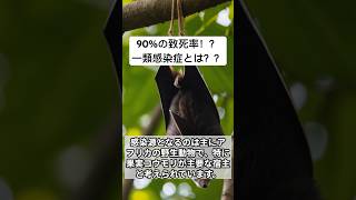 90%の致死率！？猛烈な感染症エボラとは？#vet