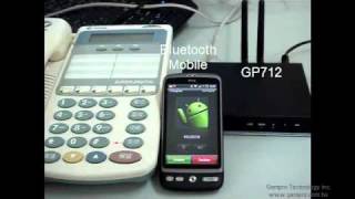 Gempro 3G GSM VoIP Gateway (GP-710/712 demo1)