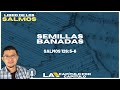 Versículo de la Biblia Libro de los Salmos 126:5-6 una semilla bañada con...