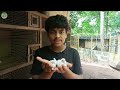 18 വയസ്സുകാരന്റെ pets collection കാണാം exotic pets malayalam