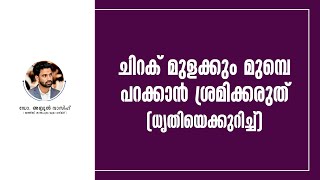 ചിറക് മുളക്കും മുമ്പെ പറക്കാൻ ശ്രമിക്കരുത്