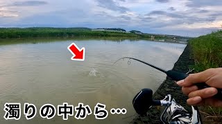 激濁りのデイゲーム！荒れた河川でシーバスが釣れたポイントとは…【ルアー釣り】