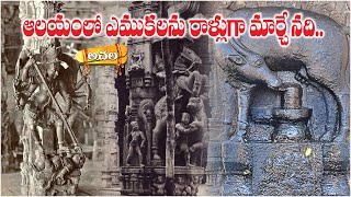 ఈ ఆలయంలో అన్నీ వింతలే.. Everything is strange in this temple.. #tamilanadu #achala #temple #mystery