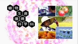 190033　宮崎大学農学部紹介　植物生産環境科学科〈2019年8月改訂〉