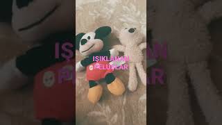 IŞIKLANAN PELUŞLAR