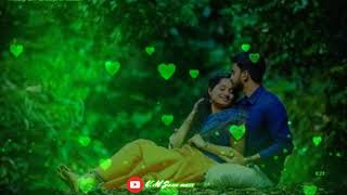 அம்மம்மா குண்டுமல்லி ஆளை இப்போ..... Tamil whatsapp status subscribe more video share