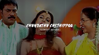 Chundathu Chethippoo | Chronic Bachelor | Mammootty  | Slowed Reverb | ShiblxLofi