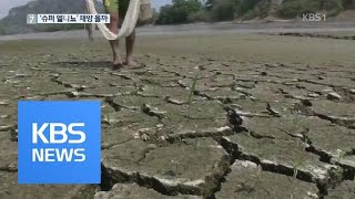 이상기후 주범 ‘엘니뇨’ 가면 벗다…발생 메커니즘 최초 규명 / KBS뉴스(News)