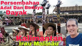 Seni Dan Budaya Adat Dayak Di Kalimantan Di Ulang Tahun Kabupaten Malinau#malinau#kaltara.