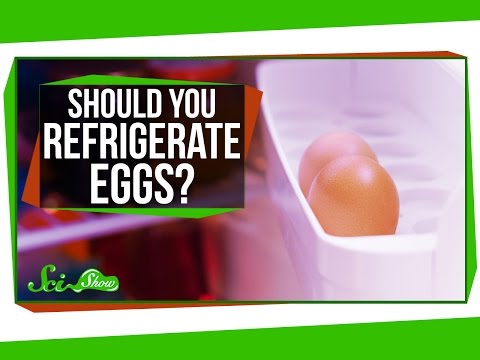 Should You Store Eggs in the Fridge? Should You Store Eggs in the Fridge?