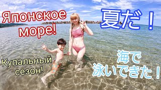 夏だ！海で泳いでメリベウミウシGET!