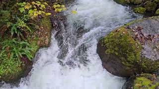 Wallace Falls Hike