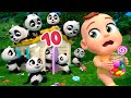 Counting 10 Little Pandas | Lalafun Nursery Rhymes & Kids Songs