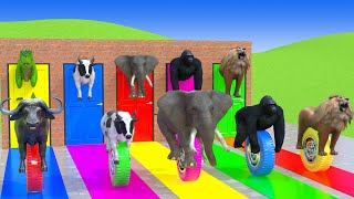 Long Slide Game With Elephant Gorilla Buffalo Hippopotamus Tiger 3d Animal Game Funny 3d Animals #3