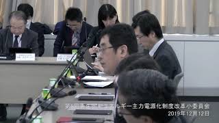 再生可能エネルギー主力電源化制度改革小委員会（第５回）①