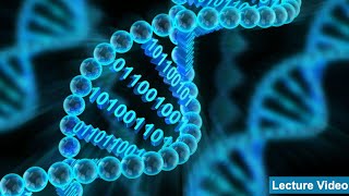 Lecture 9: Sequence Alignment