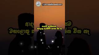 ආදරේට අවංක වෙන්න #youtubeshorts #shortsfeed #quotes #shorts  #sinhalamotivational #love