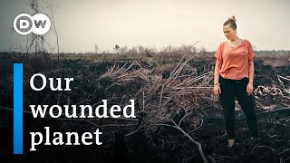 Sustainable  business, rethinking growth - Founders Valley (1/3) | DW Documentary