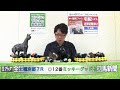 【競馬ブック】西村敬ＴＭの推奨馬（京都大賞典 2017年10月９日、土曜京都７r 10月７日）　前回推奨レース ７月８日中京５r 的中！