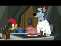 woody woodpecker💥 woody the wrestler 💥 new episodes