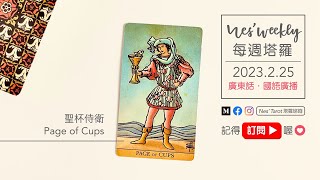 2302025｜粵/國語 (09:13)｜聖杯侍衛 (Page of Cups)