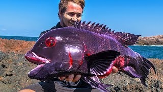10 Most Unique Fish In The Ocean!