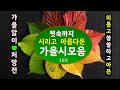 [시낭송모음]가을시모음ㅣ가을대표시15편(낭송:봉경미/음악:손방원팬플룻)