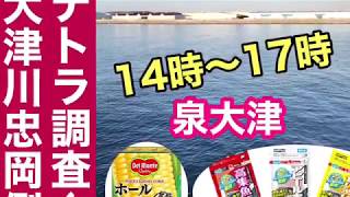 11日の大津川！フカセでチヌ連発！　フィッシングマックス泉大津店