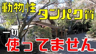 【楽寿園】三島ベジタブルフェス訪問記【2021】