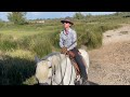 the camargue an amazing natural area on france s mediterranean coast.