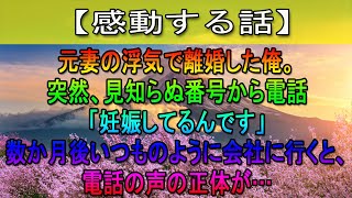 【感動する話総集編】元妻の浮気で離婚した俺。突然、見知らぬ番号から電話「妊娠してるんです」→数か月後いつものように会社に行くと、電話の声の正体が…