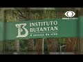 Instituto Butantan vai pedir uso emergencial da vacina CoronaVac