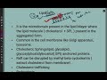 Cell biology | Cell membrane | lipid raft