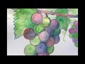 誕生花の絵手紙　10月17日　grape ブドウ